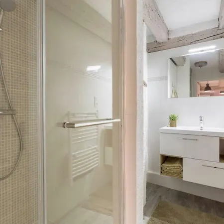 Apartment L'atelier Des Tanneurs De Charme Hypercentre Colmar